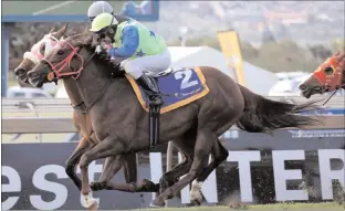  ??  ?? SHEZALEADE­R (2), with Muzi Yeni up, wins the sixth at Scottsvill­e yesterday. Picture: Nkosi Hlophe