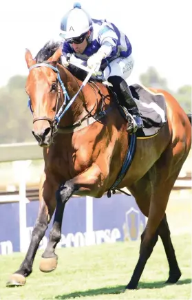  ??  ?? AFTER EFFECTS. Let It Rain has a 3.5kg penalty for his last victory and all eyes will be on him in Race 7 at the Vaal tomorrow to see how he runs.