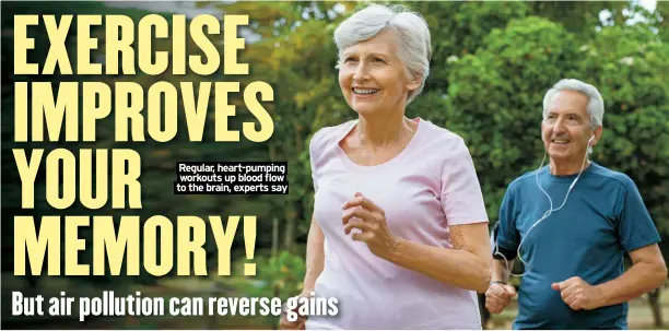  ?? ?? Regular, heart-pumping workouts up blood flow to the brain, experts say