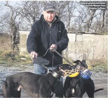  ??  ?? Veteran greyhound trainer Geordie Watson from
Shrigley, Co Down