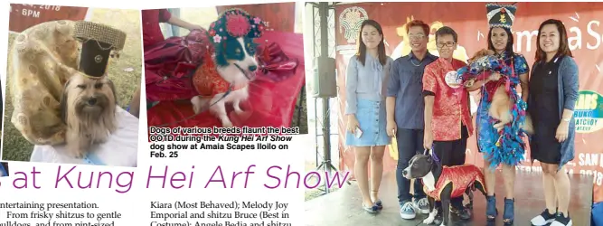  ??  ?? Dogs of various breeds flaunt the best OOTD during the Kung Hei Arf Show dog show at Amaia Scapes Iloilo on Feb. 25