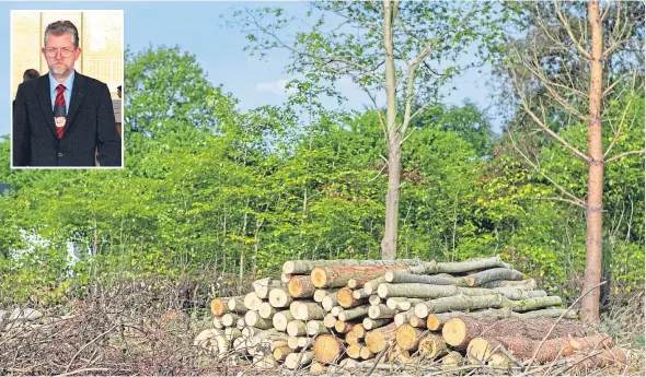  ??  ?? Logs stacked up in a pile at Swan House. Inset, Stephen Cragg.