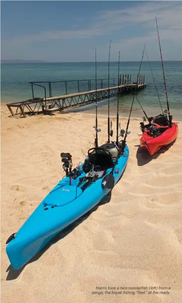  ??  ?? Harris took a nice roosterfis­h (left) from a panga; the kayak fishing “fleet” at the ready.