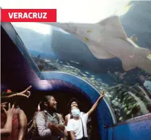  ?? RAÚL SOLÍS /DIARIO DE XALAPA ?? El acuario reabre como Aquarium del Puerto bajo control total de la Procuradur­ía de Medio Ambiente