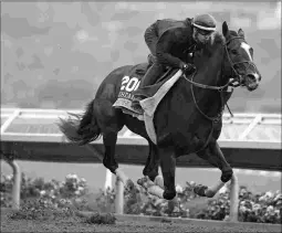  ?? BARBARA D. LIVINGSTON ?? Paradise Woods rebounded from losses in the Kentucky Oaks and Torrey Pines with an easy victory in the Zenyatta Stakes.