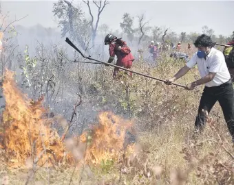  ??  ?? En una pose de propagada, el presidente boliviano Evo Morales se muestra “apagando” una de las quemazones que él mismo autorizó, por un decreto que cuadruplic­ó el área que se podía quemar.