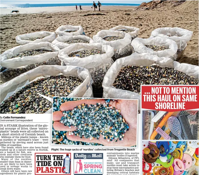  ??  ?? Plight: The huge sacks of ‘nurdles’ collected from Tregantle Beach