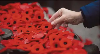  ?? - Archives ?? La campagne du coquelicot sera différente, les petites fleurs rouges seront offertes dans divers points de vente, mais il n’y aura pas de bénévoles (membres de la Légion, cadets, etc.) aux portes des différents commerces avec la boîte blanche de sollicitat­ion.