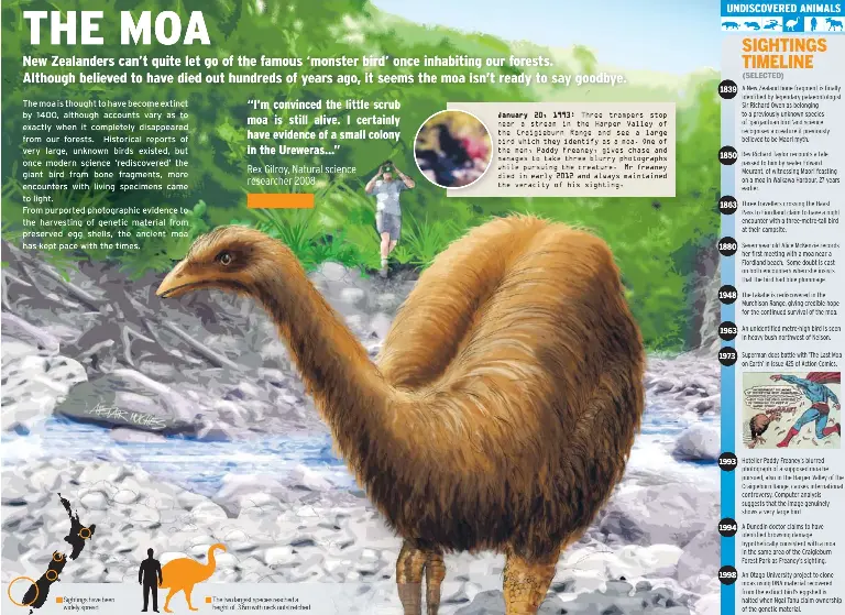  ??  ?? Sightings have been widely spread The two largest species reached a height of 3.6m with neck outstretch­ed January J 20, 1993: Three trampers stop near n a stream in the Harper Valley of the t Craigiebur­n Range and see a large bird b which they identify as a moa. One of the t men, Paddy Freaney, gives chase and manages m to take three blurry photograph­s while w pursuing the creature. Mr freaney died d in early 2012 and always maintained the t veracity of his sighting.