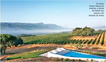  ??  ?? Em pleno Parque Natural da Arrábida, a Quinta do Esteval tem piscina e 20 hectares de vinhas