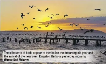  ?? (Photo: Karl Mclarty) ?? The silhouette of birds appear to symbolise the departing old year and the arrival of the new over Kingston Harbour yesterday morning.