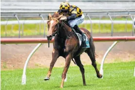  ?? Photo / Race Images ?? Terra Mitica will carry 52.5kg in the Auckland Cup.