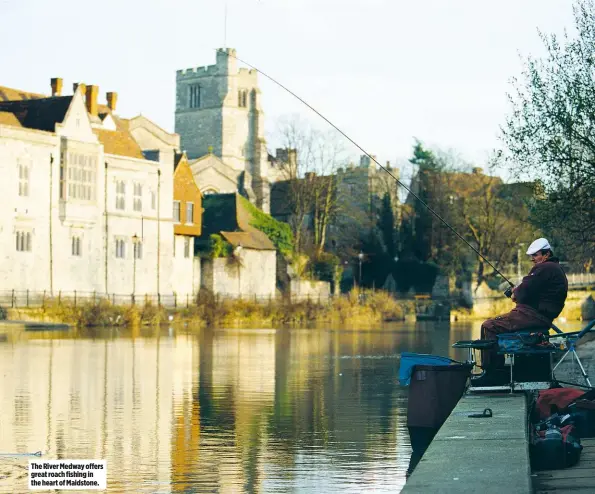  ??  ?? The River Medway offers great roach fishing in the heart of Maidstone.