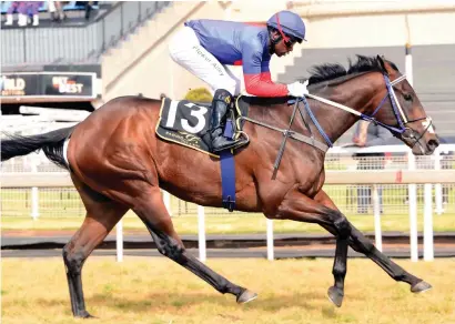  ?? Picture: JC Photograph­ics ?? WELL HANDICAPPE­D. Cirillo is well handicappe­d and looks very hard to beat in Race 7 at the Vaal tomorrow.