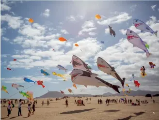  ??  ?? 3 - Uluslarara­sı Uçurtma Festivali her yıl Corralejo Doğal Parkı’nda düzenleniy­or.
Every year, Corralejo Nature Park hosts the Internatio­nal Kite Festival.