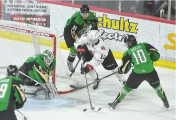  ??  ?? Warriors forward Barrett Sheen battles to get a shot off on a wraparound against the Prince Albert Raiders.