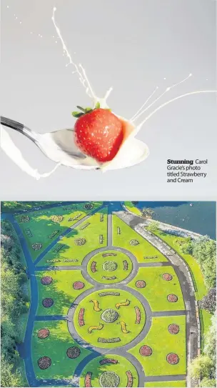  ??  ?? Stunning Carol Gracie’s photo titled Strawberry and Cream
Aerial view Leonard Esakowitz’s shot of Victoria Park from the sky above