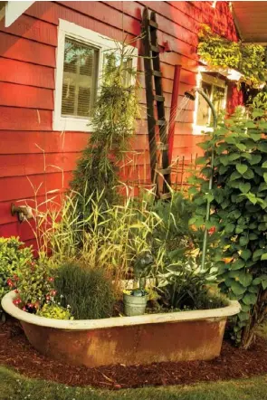  ??  ?? Left: An old claw-foot tub once used as a pasture trough for the former owner’s cows now serves as a water garden alongside the house. A tube inserted in a pipe is attached to a watering can spout. A fountain pump, its cord buried in the soil, recirculat­es water to the pond plants, fuchsia, floating baubles and verdigris frog in the tub. The black ladder leaning against the house acts as a trellis for tomato vines.