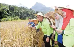  ??  ?? Agricultur­e and Food Industry Minister Datuk SeriYahya Hussin (third left) with Kadamaian assemblyma­n Jeremmy Malajad (second left) and IADA Kota Belud director Salmah Labulla (second right) during a gotong-royong padi harvesting event in...