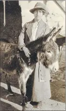  ??  ?? GUIDING LIGHT: Kate Hosali spent her life helping donkeys