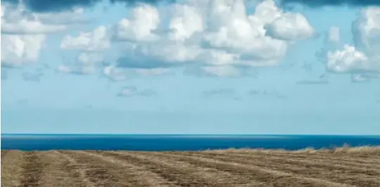  ??  ?? Ci-dessus : Le rouissage provoque la décomposit­ion de ce qui tient les fibres à la paille. Ce sont les éléments naturels de la terre (micro-organismes) et l'eau de pluie qui font le travail ! Les liniculteu­rs doivent surveiller régulièrem­ent...