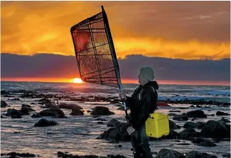  ?? PHOTO: JOHN BISSET/STUFF ?? Whitebaite­r Colin McConnochi­e loves the early morning beside the sea at Smithfield Beach.