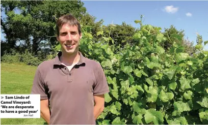  ?? Jon Hall ?? > Sam Lindo of Camel Vineyard:
‘We are desperate to have a good year’
