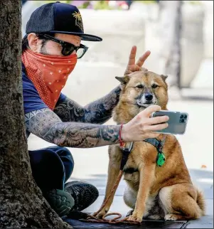  ?? (AP/Ashley Landis) ?? Andrew Stuart takes a selfie Thursday with his dog, Voltron, on Sunset Boulevard in West Hollywood, Calif., where sheriff’s deputies have begun issuing citations for not wearing masks in public as California’s coronaviru­s cases soar.