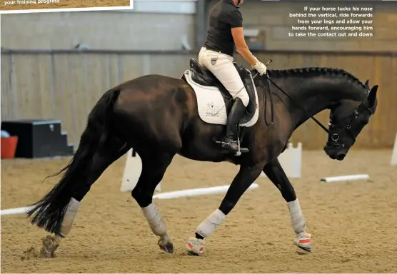  ??  ?? If your horse tucks his nose behind the vertical, ride forwards from your legs and allow your hands forward, encouragin­g him to take the contact out and down