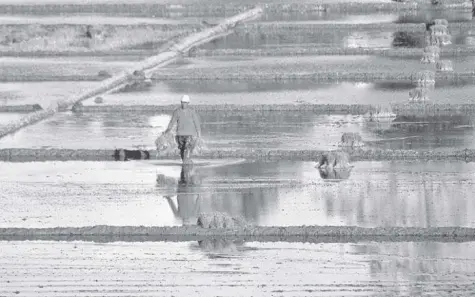  ??  ?? A FARMER in Pangasinan is preparing to plant rice in this Businessmi­rror file photo.