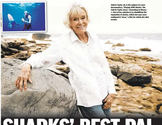  ??  ?? Valerie Taylor, 85, is the subject of a new documentar­y, “Playing With Sharks: The Valerie Taylor story,” streaming on Disney +. Part of her mission is to rehabilita­te the reputation of sharks, which she says were maligned in “Jaws,” a film for which she shot scenes.