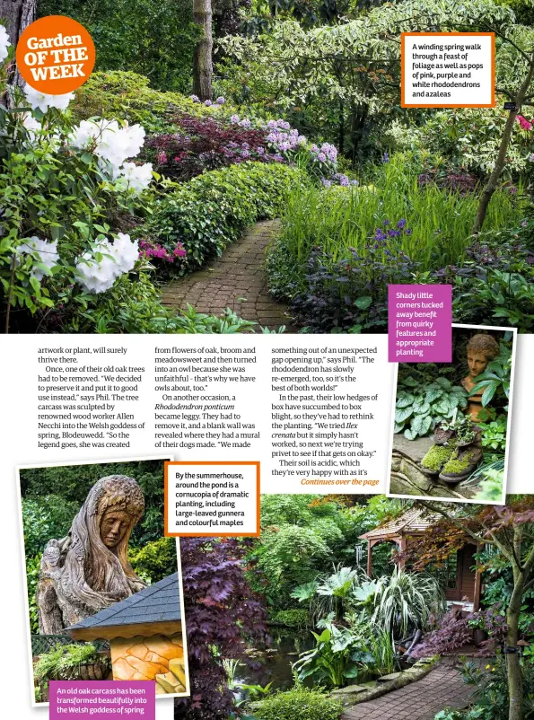  ??  ?? An old oak carcass has been transforme­d beautifull­y into the Welsh goddess of spring By the summerhous­e, around the pond is a cornucopia of dramatic planting, including large-leaved gunnera and colourful maples A winding spring walk through a feast of...