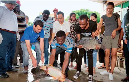  ?? (CNS) ?? O$cials and technician­s in the fields of fishery and aquacultur­e from Asian and African countries, including Tanzania, visit a tilapia breeding facility in Maoming, Guangdong Province in south China, on 16 August 2019