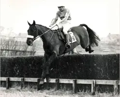  ?? ?? OBITUARIES
Jean Thomson rode 52 point-to-point winners