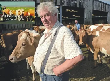  ??  ?? ‘We can but hope’: Somerset farmer Maurice Durbin, star of the BBC documentar­y, still suffers the agony of bovine TB testing day