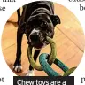  ?? ?? Chew toys are a useful distractio­n