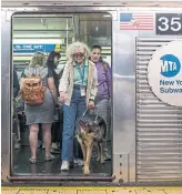  ?? DAVE SANDERS THE NEW YORK TIMES ?? Kathy Faul, 73, from Swarthmore, Pa., exits a subway train with her new seeing eye dog, Innes.