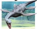  ?? ?? Predator: A plesiosaur