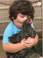  ??  ?? 3 Stealing Kisses
Two-year-old Holden loves hugging and kissing his favorite chicken, Lucy. CHELSEA JEBSON 3 LAKE CHARLES, LOUISIANA