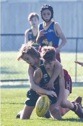  ??  ?? The tackle by Jye Good of Hallora might have been a bit high but it forced Colts’ opponent Cooper Crowe to fumble the ball during an entertaini­ng Under 12 match at Eastern Park.