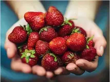  ??  ?? Strawberri­es are synonymous with summer.