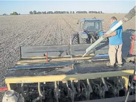  ??  ?? Fertilizan­te. La relación insumo producto está favorable a la inversión.