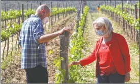  ??  ?? Agronomist Vittorio Stringari (left) and Emilia Nardi inspect a grapevine.