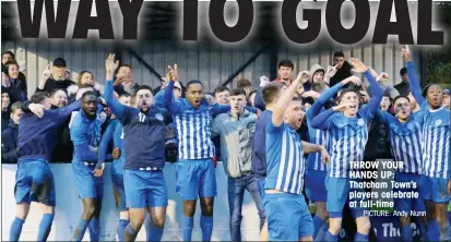  ?? PICTURE: Andy Nunn ?? THROW YOUR HANDS UP: Thatcham Town’s players celebrate at full-time