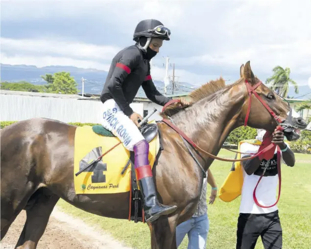  ?? (Photo: Naphtali Junior) ?? Jockey Anthony Thomas gets into place aboard Sentient in the Parade Ring before the start of the Chairman’s Trophy on Saturday, September 26, 2020 at Caymanas Park.