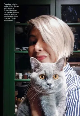  ?? ?? From top: Interior stylist, Kitty Bunag with Anino, a British Shorthair cat; Jackie Antonio together with her two Cavalier King Charles, Oscar and Oswald