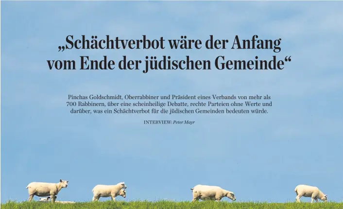  ??  ?? Tiere für koscheres Fleisch werden „gut und nachhaltig gehalten“, sagt Oberrabbin­er Goldschmid­t und fragt: „Wie ist es im Gegenzug bei der hiesigen Massentier­haltung?“