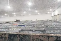  ??  ?? Lobster pounds in Nova Scotia can be small operations, holding 25,000-30,000 pounds of lobster, or large multiple-pool operations holding 200,000 pounds of lobster. This pound is one of the facilities using the systems designed and built by Aqua Production Systems.