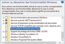  ??  ?? Activez le Sous-système Windows pour Linux.