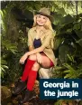  ??  ?? Georgia in the jungle